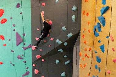 Tırmanma duvarında genç ve yakışıklı bir antrenör sigortası olmadan duvara tırmanıyor.