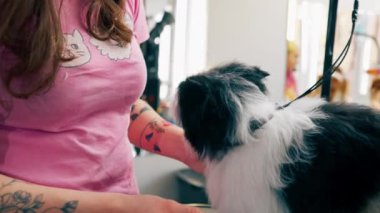 Bir kuaförde pembe tişörtlü genç bir kız siyah-beyaz bir köpeği öpüyor.