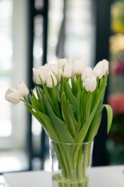 Bir çiçekçide satılık taze beyaz lalelerin yakın plan çekimi ya da kompozisyon yaratmak için.