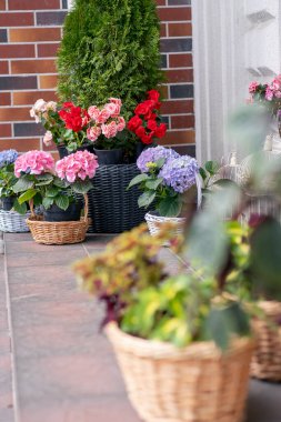 Çiçekçinin yanında farklı sokak çiçekçilerinin tasarladığı sepetler var.