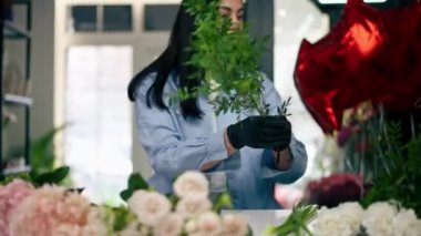 Bir çiçekçide, beyaz bir masanın yanındaki bir kız bir sepet çiçeği süslemek için zeytin ağacının dalını buduyor.