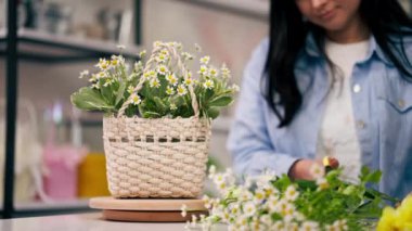 Bir çiçekçiye yakın bir yerde beyaz bir masaya yakın bir kız çiçek toplar sepetinde bir buket çiçek düzenler.