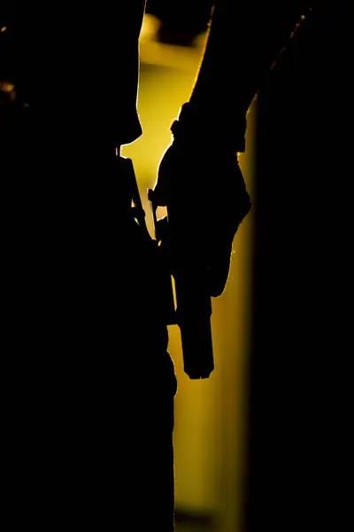 Profesyonel atış poligonuna yakın plan askeri silah eğitmeni tabanca kullanmaya hazırlanıyor.