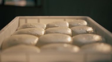 Profesyonel bir mutfakta, pizzacıda porsiyonlu hamur topları plastik bir konteynırda yatıyor.
