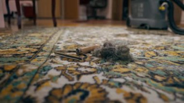 Daireyi profesyonel olarak temizleyin. Halıda yün bir kazıyıcı ve yün bir makara var. Temiz bir yüzey.