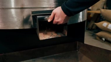 Kahve kızartma fabrikasını kapatın. Bir işçi kızartma makinesinin yanında duruyor. Kavrulmuş kahveyi davuldan satışa sunuyor.