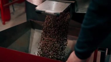 Kahve kızartma fabrikasını kapatın. Bir işçi kızartma makinesinin yanında duruyor. Kavrulmuş kahveyi davuldan satışa sunuyor.