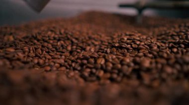 Kızartma fabrikasına yakın plan bir kadın eli Türk fincanına taze kavrulmuş kahve dolduruyor.