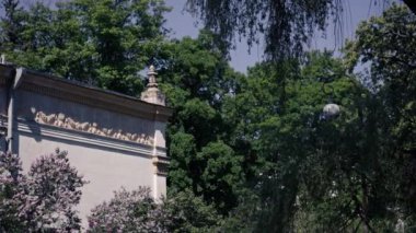 Ağaçlar yeşil çimlerin üzerinde yetişir parkın dışında iyi bakımlı alanda konforlu kalmak için