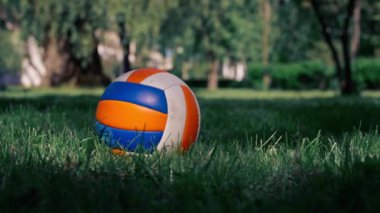 Sokakta, parkta, ağaçların arasında, çimlerin üzerinde voleybol topu yatıyor.