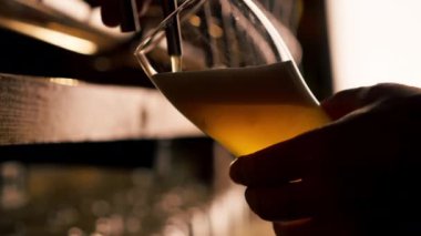 Bar tezgahındaki birahanede yakın plan barmenlerin elleri bardağa hafif bira döker.