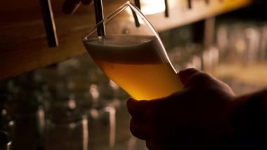 Bar tezgahındaki birahanede yakın plan barmenlerin elleri bardağa hafif bira döker.