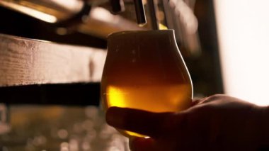 Bar tezgahındaki birahanede yakın plan barmenlerin elleri bardağa hafif bira döker.
