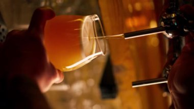 Bar tezgahındaki bira salonunun dikey görüntülerinde barmenlerin elleri bardağa hafif bira döker.