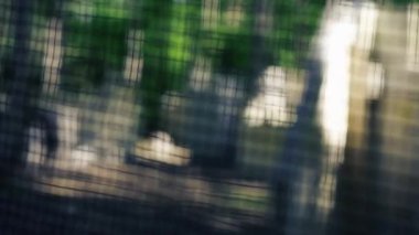 Dar bir ağaç gövdesinde tilt oynamak için ormanda langırtın düşüşünden kalma bir işaret var. Sarı bir nokta.