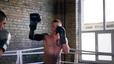 Bir boks kulübünde. İki çıplak göğüslü boksör. Gri eldivenli dövmeli.