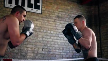 Bir boks kulübünde. İki çıplak göğüslü boksör. Gri eldivenli dövmeli.