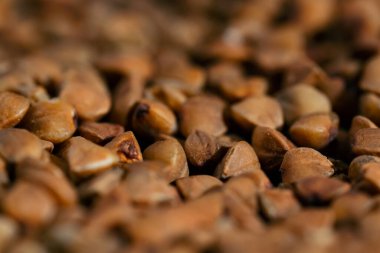 close up buckwheat lies on black and blue background Ukrainian culture, light protein food vegetarianism green crops fruits of the fields clipart