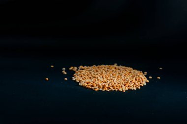 Sarı bezelye yakın plan siyah ve mavi arkaplanlı Ukrayna kültürüne uzanır, açık protein gıda vejetaryenliği tarlaların yeşil mahsulleri