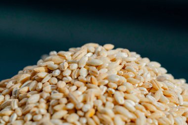 Sarı buğday yakın plan siyah ve mavi arka plan Ukrayna kültürü üzerine uzanır, açık protein gıda vejetaryenliği tarlaların yeşil mahsulleri