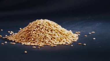 Sarı buğday yakın plan siyah ve mavi arka plan Ukrayna kültürü üzerine uzanır, açık protein gıda vejetaryenliği tarlaların yeşil mahsulleri