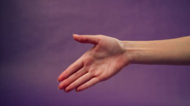 Güzel bir kadın eli mor arka planda izole edilmiş iki el sıkışma işaret dili
