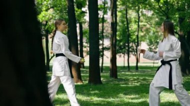 Parkta açık havada, güneşli havada genç bir karateci kız. Trenin çevikliği ve tepkisi. Siyah kuşakla oynayan bir top dövüş sanatları oyuncusuyla oynuyor.