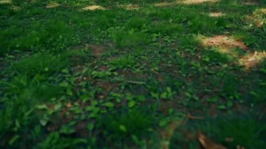 Parkta açık havada, güneşli havada kırmızı asker botları ve eldiven giymiş genç bir karateci tekniklerini uyguluyor.