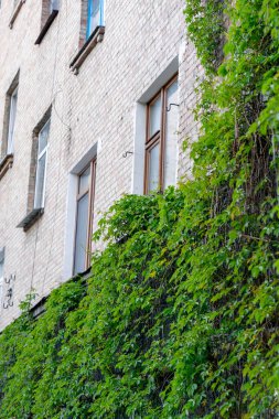 Kapalı sokak antik evleri eski pencereler ve balkonlar Sovyet mimarisi boyalı evlerin pastel renkleri mimari sıva