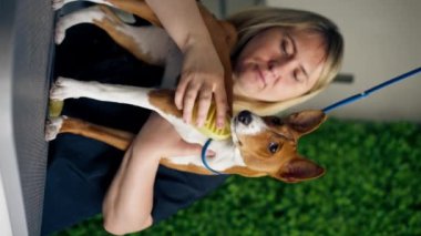 Bir kuaförde dikey video, yeşil bir bitki arka planında siyah üniformalı bir usta, kısa saçlı, masaj fırçasıyla masanın üstünde duran küçük bir köpeği tarıyor.