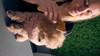 Bir kuaförde dikey video. Yeşil bir bitki arka planında siyah üniformalı bir usta. Masaj fırçasıyla masanın üzerinde duran kısa saçlı küçük bir maltipoo.