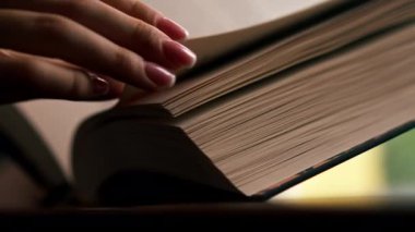Pencerenin yakınındaki bir kitapçıda el ele tutuşan güzel bir öğrenci oturuyor ve sınavlara hazırlanıyor.