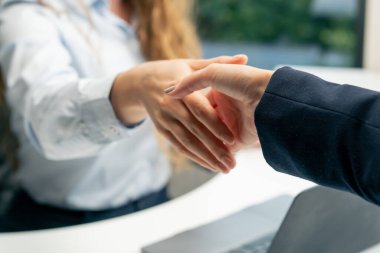 Modern bir ofis sekreterine yakın olmak patronuyla el sıkışmak iyi çalışan ilişkileri kaliteli iş ortaklığı.