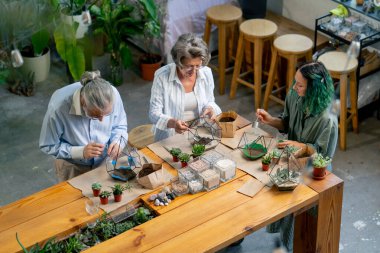 Yaşlılar için bitkilerden kompozisyon yaratma konusunda en iyi atış ustası. Yeşil saçlı öğretmen. Yaşlılıktan mutlu yaşlı çift.