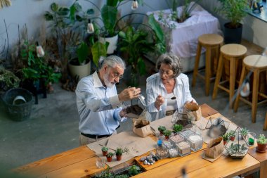 Yaşlılar için bitkilerle kompozisyon oluşturma konusunda birinci sınıf yaşlı çiftler için güzel anılar.