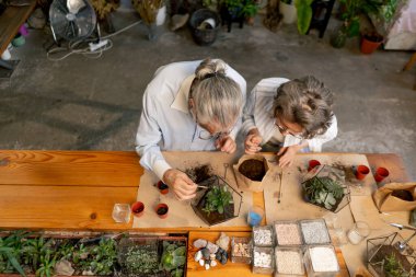 Yaşlılar için bitkilerle kompozisyon oluşturma konusunda birinci sınıf yaşlı çiftler için güzel anılar.