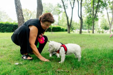 Ziyaretçiler için park alanı yeşil çimleri biçsin. Yürüyen köpekler için. Sahibi batıya doğru yürüyor.