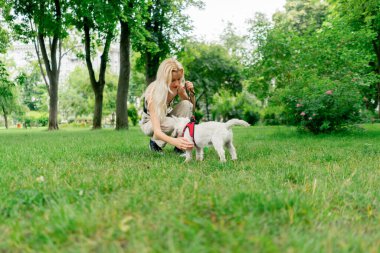 Yazın parkta yürürken sarışının sahibi kollarında beyaz bir West Highland Terrier tutuyor başının üstünde öpüyor ve arka ayakları üzerinde onunla oynuyor.