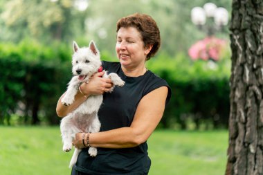 Yazın parkta yürürken koyu saçlı bir kadın kollarında bir Maltese köpeği taşır. Hayvanlara olan sevgisi sahibinin parkında yürür.