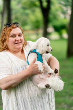 Yazın parkta yürürken şişman yaşlı bir kadın, hayvanlara olan sevgisiyle Maltalı bir köpeği kucağına alır. Parkta sahibinin bakımıyla yürür.