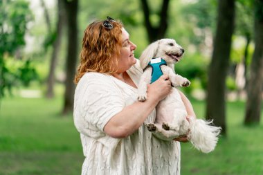 Yazın parkta yürürken şişman yaşlı bir kadın kollarında bir Maltese köpeği taşır hayvanlara olan sevgisi sahibinin parkında yürür.