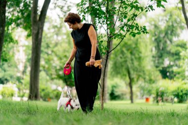 Yazın parkta yürürken koyu saçlı sahibi West Highland Terrier ve favori oyuncaklarıyla oynar.