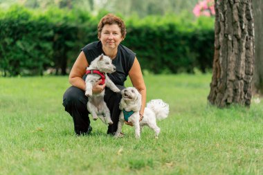 Yazın yakın plan, parkta yürürken koyu saçlı bir sahibi çimlerin üzerinde oturuyor. Batı Highland Teriyeri 'yle oynuyor ve Maltalı bir köpek evcil hayvanı olan kadın kameraya bakıyor.