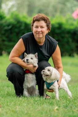 Yazın yakın plan, parkta yürürken koyu saçlı bir sahibi çimlerin üzerinde oturuyor. Batı Highland Teriyeri 'yle oynuyor ve Maltalı bir köpek evcil hayvanı olan kadın kameraya bakıyor.