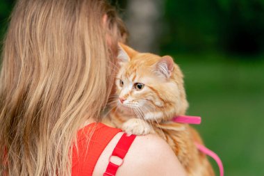 Yazın bir parkta, kırmızılı yeşil çayır kadının üzerinde kırmızı tüylü, korkak bir kedi tutuyor. Doğayı, belirsizliği, çevreyi keşfediyor.