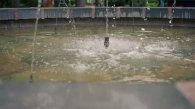 Ziyaretçiler için park alanını kapatın, rahatlayın, küçük taş fıskiyeler, tatlı su yaz havası, Sovyet tarzı mimari fışkırıyor.