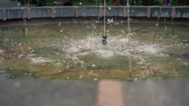 Ziyaretçiler için park alanını kapatın, rahatlayın, küçük taş fıskiyeler, tatlı su yaz havası, Sovyet tarzı mimari fışkırıyor.