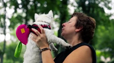 Yazın parkta yürürken siyah saçlı bir kadın kollarında bir Maltese köpeği taşır. Hayvanlara olan sevgisi sahibinin parkında bir yürüyüş.