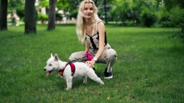 Yaz mevsiminde, sahibinin Batı Highland Teriyeri ve sevgili evcil hayvanıyla oynadığı bir yürüyüşte diğer köpek severler ve köpeklerle iletişim kuruyordu.