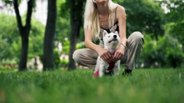 Yaz mevsiminde, sahibinin Batı Highland Teriyeri ve sevgili evcil hayvanıyla oynadığı bir yürüyüşte diğer köpek severler ve köpeklerle iletişim kuruyordu.